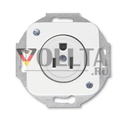 Вставка розетки Busch-Jaeger 3015 EUC-214 Busch-Nema с центральной платой, 2-полюсная (2 P + E), 15 A, альпийский белый