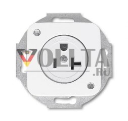 Busch-Jaeger 3016 EUC-214-101 Вставка розетки Busch-Nema с центральной платой, 2-полюсная (2 P + E), 20 A альпийский белый