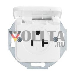 Busch-Jaeger 3016 EUK-214 Busch-Nema розетка вставная с центральной платой, 2-полюсная (2 P + E), альпийский белый