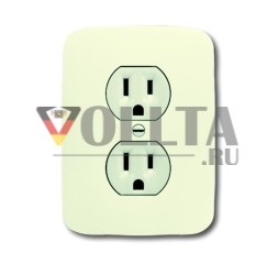 Busch-Jaeger 3016-02 EUI-212 Busch-Nema двойная розетка для скрытого монтажа, 2-полюсная (2 P + E), 20 A белая