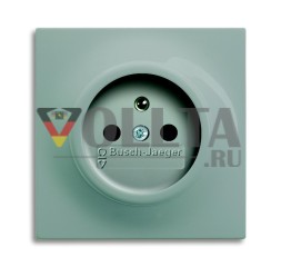 Вставка для розетки Busch-Jaeger 20 MUCKS-79-500, с заземляющим штырем специальные вилки цвета шампанского металлик