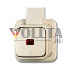 Busch-Jaeger 2601/2SKAP Duro2000 AP балансирный контрольный выключатель  цвет: кремово-белый