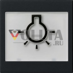 Gira 0216005 BSF light тактильная система 55 sw клавиша