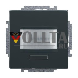 Busch-Jaeger 2CKA006200A0053 6215/1.1-81-WL 1-сторонний антрацитовый датчик движения/активатор переключателя
