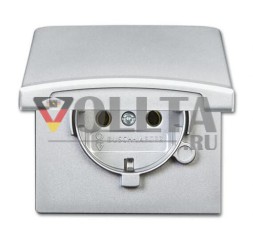 Busch-Jaeger 20 EUGK-33-101 розетка SCHUKO®, с откидной крышкой, алюминий, серебристый