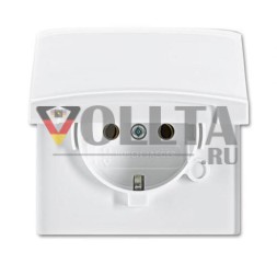 Busch-Jaeger 20 EUGK-34-101 розетка SCHUKO®, с откидной крышкой, альпийский белый