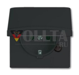 Busch-Jaeger 20 EUGK-35-101 розетка SCHUKO®, с откидной крышкой, антрацит