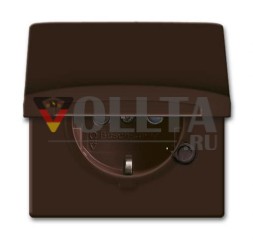 Busch-Jaeger 20 EUGKB-31-101 Вставка для розетки SCHUKO®, с откидной крышкой, коричневая