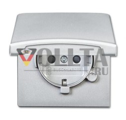Busch-Jaeger 20 EUGKB-33-101 Вставка для розетки SCHUKO®, с откидной крышкой, алюминий, серебристый