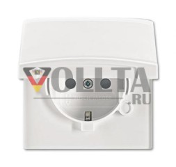 Busch-Jaeger 20 EUGKB-34-101 розетка SCHUKO®, с откидной крышкой, альпийский белый